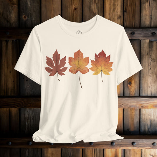 Autumn Maple Row T-Shirt